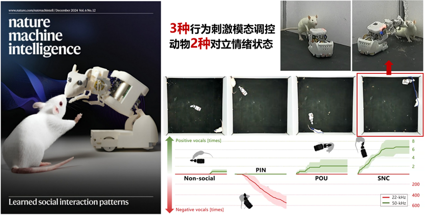 bw必威西汉姆联